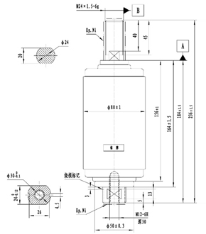 TD-24/1250-25Q1充气柜用灭弧室	